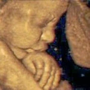 Picture of javier7414_206401