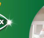 Los dientes del bebé: las 7 cosas que debes saber