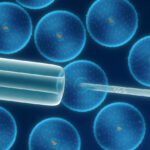 Células madre ¿Qué son y qué hacen?