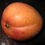 Mango oriental
