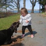 ¿Qué hacer en caso de mordeduras?