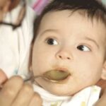 Cómo introducir sólidos