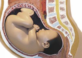 preparación para el parto