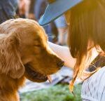 Mascotas y embarazo
